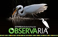 ObservaRia – Estarreja 2019