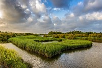 Paisagem natural deslumbra na Maratona Fotográfica BioRia