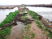 Baixo Vouga Lagunar: Câmara está no terreno a tentar reparar rombo causado pelo mau tempo