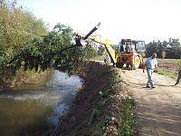 Comemorações do Dia da Floresta Autóctone