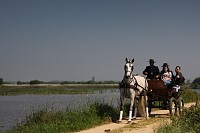 114 mil visitas no BioRia | Subida de 41% indica recorde em 2015