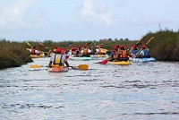 Beleza das Ribeiras de Veiros surpreendem