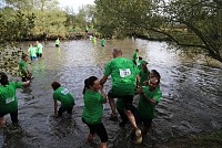 BioRace Challenge: Uma aposta naturalmente ganha