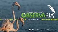 ObservaRia está de regresso com um programa cheio de atividades!