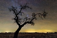 Estrela da astrofotografia, Miguel Claro, orienta viagem cósmica na ObservaRia