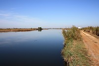 Esteiro de Salreu