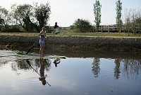 Mais de 6 mil visitantes responderam à chamada da Natureza