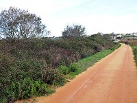 BioRia assinala Dia da Floresta Autóctone