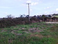BioRia assinala Dia da Floresta Autóctone