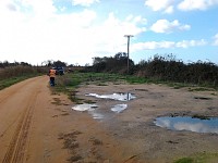 BioRia assinala Dia da Floresta Autóctone