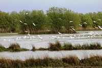 BioRia é um dos 6 finalistas na categoria Sustentabilidade Ambiental