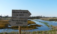 Ciência Viva encerrou com visita ao Percurso de Salreu