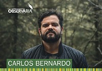 ObservaRia – Estarreja 2019