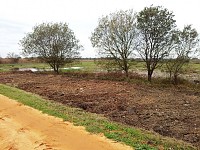 BioRia assinalou o Dia da Floresta Autóctone