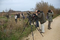 Birdwatching traz visitantes a Estarreja