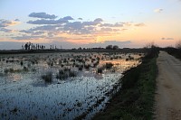 Curso de Birdwatching (Rapinas) - 6 e 7 Abril