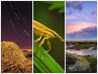 Colheita de Estrelas surpreende | É uma das imagens de João Baptista, vencedor da 6ª Maratona Fotográfica BioRia