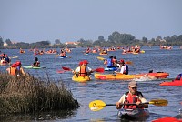 200 canoístas navegam pelos canais da Ria