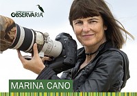 ObservaRia – Estarreja 2019