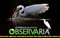ObservaRia 2019: Conferência "Sustentabilidade: da teoria à prática"