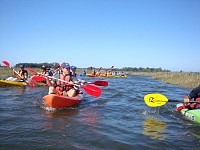 200 canoístas à descoberta da Ria em kayak