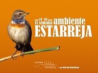 XI Semana de Ambiente